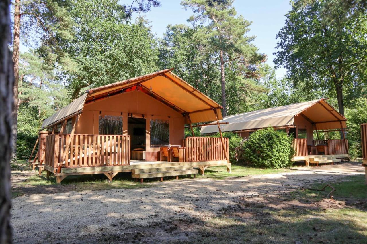 Europarcs De Zanding Otterlo Oda fotoğraf